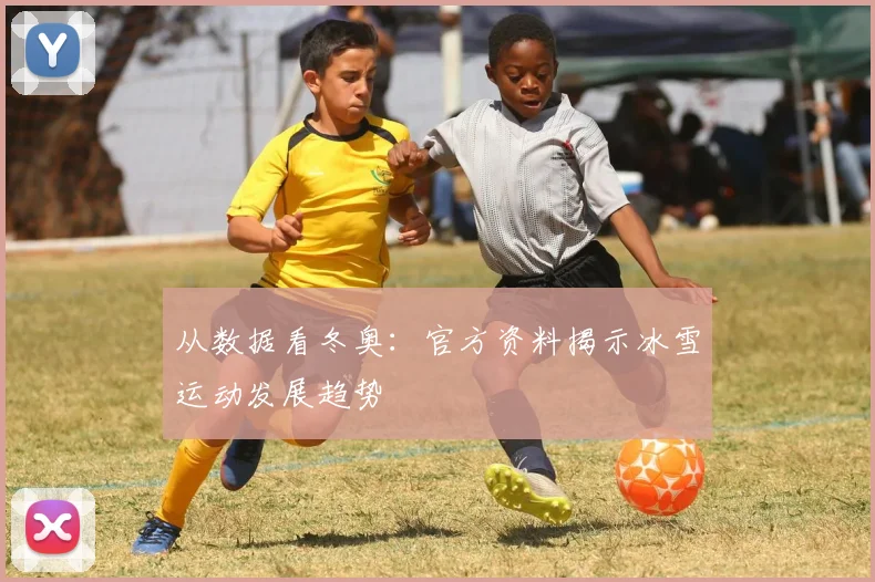 从数据看冬奥：官方资料揭示冰雪运动发展趋势