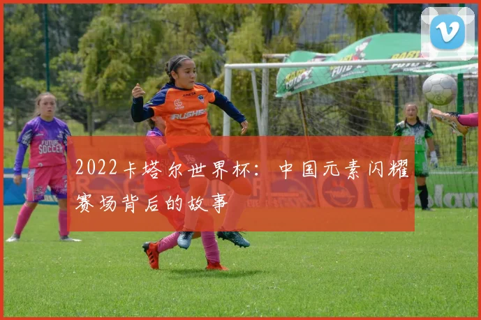 2022卡塔尔世界杯：中国元素闪耀赛场背后的故事