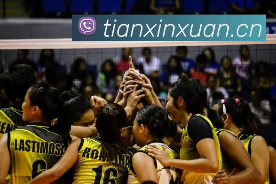 hth华体登录官网平台生态图