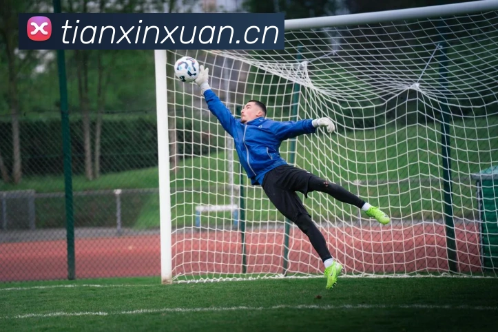 hth华体登录官网全站App